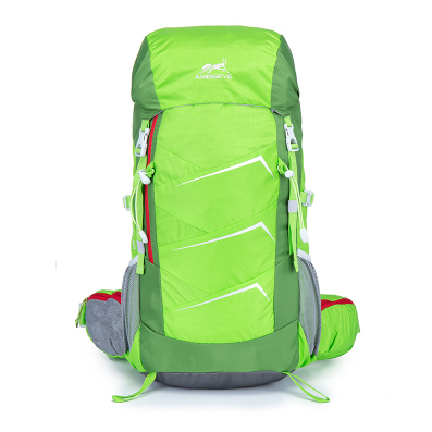 40 travel backpack with EVA back panel